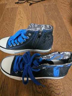 Item thumbnail for item 1c78f7cd-d064-4f3e-baf1-45a7c5d8d81a