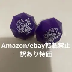 D96.【訳あり特価】志麻　ひきフェス　リングライト