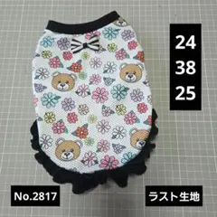 No.2817　Sサイズ　犬服　ハンドメイド　メッシュ