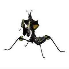 ニセハナマオウカマキリ