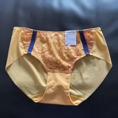 une nana cool レース生理用下着 ショーツ Lサイズ オレンジ新品