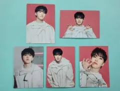 Seventeen follow again ホシ トレカ セット