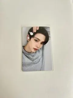 riizeショウタロウ　シーグリ