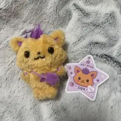 NCT WISH シオンWISH doll シオニン