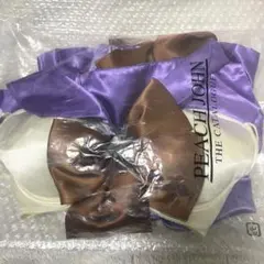 Item thumbnail for item e29d329f-2ae5-47f1-865e-b16e55157be9