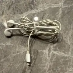 有線イヤホン Lightning Apple純正