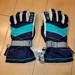 Item thumbnail for item 1cdc4517-6782-4552-b0e4-661a45f984e1