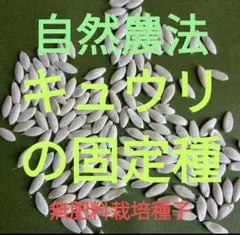 ☆ｂｅｎｉ☆様 リクエスト 3点 まとめ商品