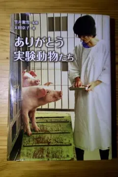 Item thumbnail for item 1b900ad4-34fa-41a7-a7fd-8ba04b066004