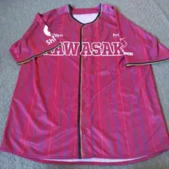 Item thumbnail for item 78d6f74a-0e22-448f-b855-a22c2729404e