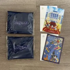 ディズニー　アンバサダーホテル　エコバッグ+ポストカードセット