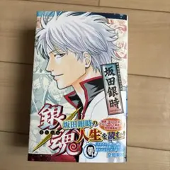 銀魂 キャラクターリミックス 坂田銀時