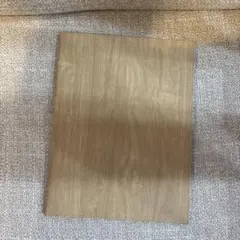 Item thumbnail for item ddc25073-ba8f-4de7-8b57-335dafa79b4e