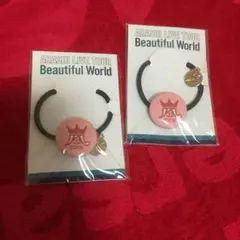 嵐 Beautiful World 会場限定 ヘアゴム
