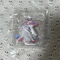 スケールワールド　カロス地方　ニンフィア