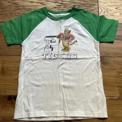 Polo Ralph Lauren ポロタイガー Tシャツ 7