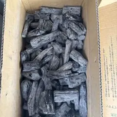 国産 土佐備長炭 不揃い小炭10キロ 規格外品 業務用 消臭 浄水 在庫6