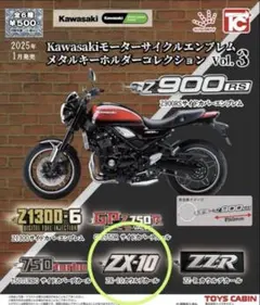 2025年最新】カワサキ ZX-10の人気アイテム - メルカリ