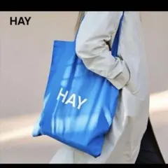 hay 白ロゴ