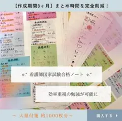 看護師国家試験|必修対策|情報カード141枚|最新統計第116回|付箋ノート|③ 再販!看護師国家試験|必修対策カード141枚|最新統計第116回|付箋ノート