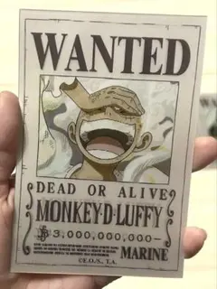 【絵が変わる】ワンピース 麦わらの一味WANTED ステッカーセット