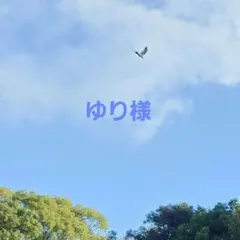 Item thumbnail for item df6db91b-d4ac-42fd-aea0-70cd2b1553a5