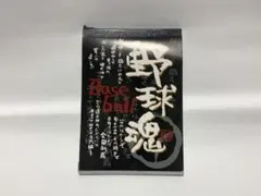 Item thumbnail for item 70f3678c-397d-4066-a55e-3bde7305f2af