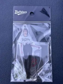 BsGravity2025 アクリルスタンドキーホルダー　MAHO