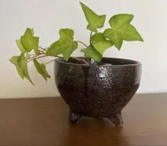 陶器製 三本足 植木鉢 盆栽鉢のサムネイル