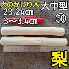 Item thumbnail for item bde7e95d-6137-424d-8838-a316af31eeda