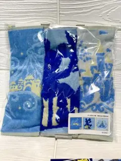 ＜ディズニー＞ミニタオル3枚セット(バケーションパッケージ限定)