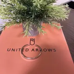 新品未使用　調整可能　UNITED ARROWS シルバーバングル 太め7mm