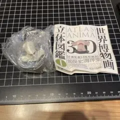 海洋堂　世界博物画立体図鑑Ⅰ 3D 荒俣宏 シュモクザメ