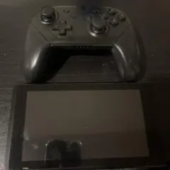 ス*ル様 任天堂Switch 1 動作確認済み 本体 プロコン付き ゼルダ 初期