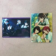 生ブロマイドコレクション