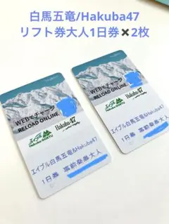 2026年最新】五竜 リフト券の人気アイテム - メルカリ