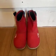 Item thumbnail for item c7ae53a6-102e-4768-8242-e544d8525a48