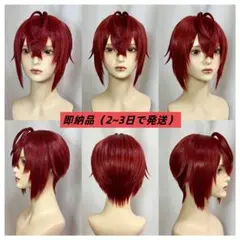即購入可【新品未使用/セット済】チェカ(ツイステ) コスプレウィッグ 即購入可【新品未使用/セット済】チェカ(ツイステ) コスプレ
