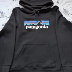 patagonia ブラック フード付きパーカー