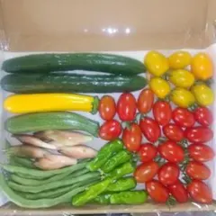 ①野菜セット(野菜詰め合わせ)のサムネイル