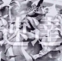 2026年最新】アガベ豆豆龍の人気アイテム - メルカリ