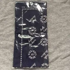 2026年最新】非売品 bump of chickenの人気アイテム - メルカリ