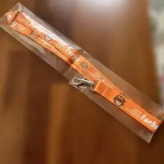 Item thumbnail for item f7c23a80-d6dd-410d-8719-1cddd10b71ba