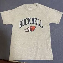 Champion BUCKNELL Tシャツ グレー Sサイズのサムネイル
