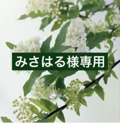 専用