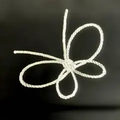 名古屋帯　組紐模様刺繍　蝶　銀　黒地　塩瀬　額縁仕立て　開き名古屋帯　黒×銀のサムネイル