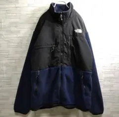 ★US規格 ノースフェイス デナリ ジャケット ボア フリース