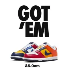 Nike Dunk Low CO.JP WHAT THE マルチカラー