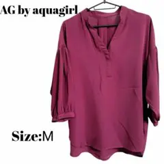 Item thumbnail for item 5a1af324-b06a-47e8-a629-39f5e3fec110