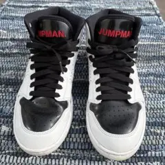 NIKE jordan ナイキ ジョーダン アクセス スニーカー 25.5cm